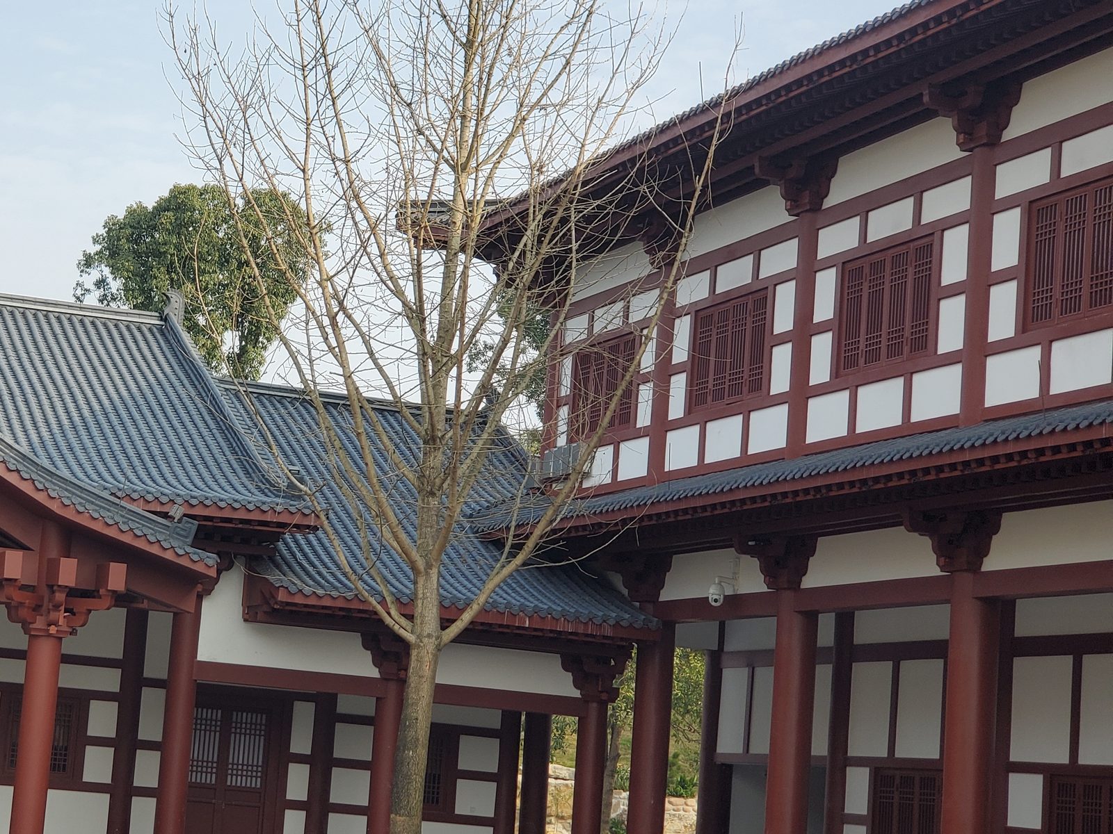 安化天下黑茶大剧院室内照明工程实景