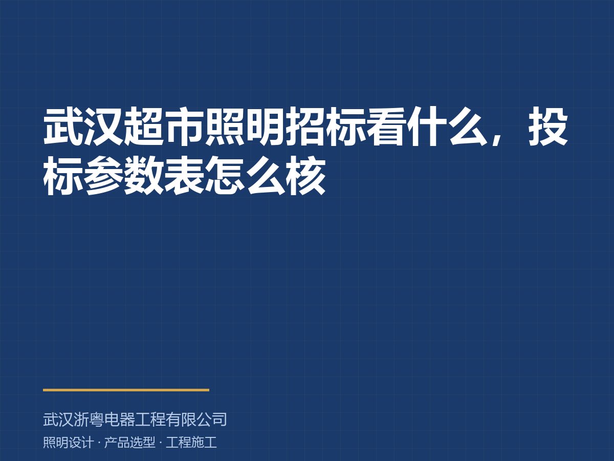 武汉超市照明招标看什么，投标参数表怎么核